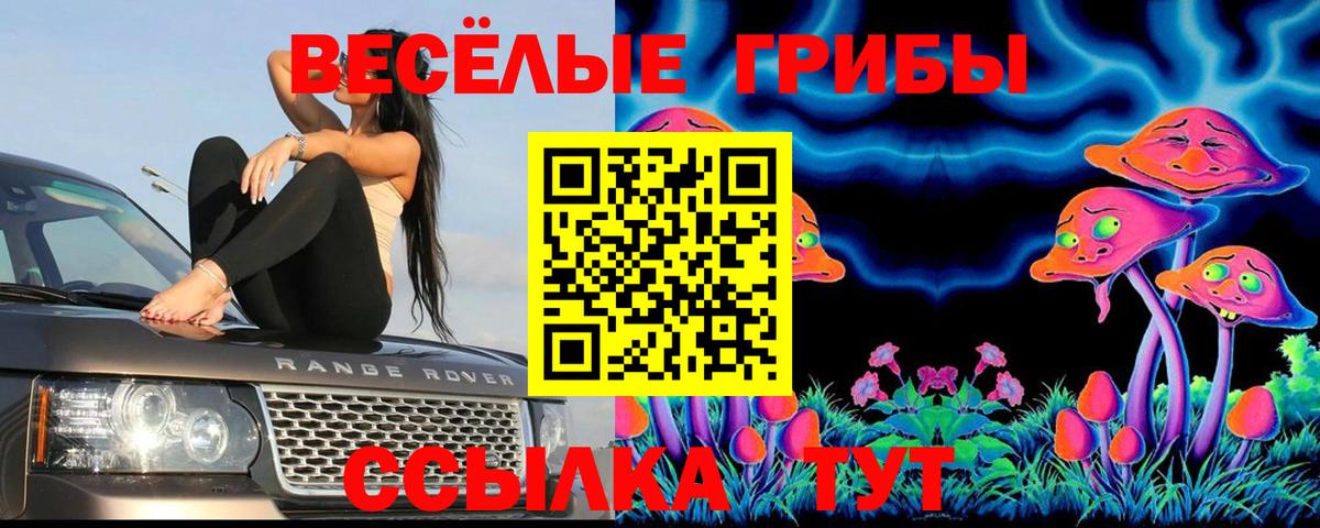 Галлюциногенные грибы мухоморы Кировск